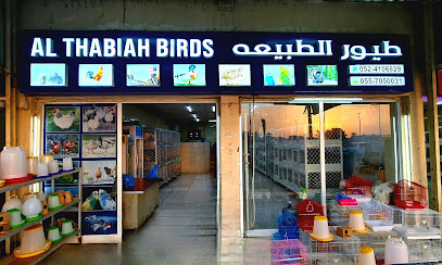 طيور الذبية - أبو ظبي - +971 52 410 6829