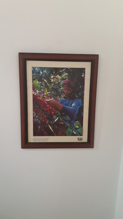 بن نبات لتطوير المشاريع - United Arab Emirates|Central District - Abu Dhabi|Ali Bin Abi Taleb St|6QH6+629