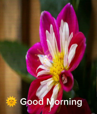 غيور احمد - أبو ظبي -