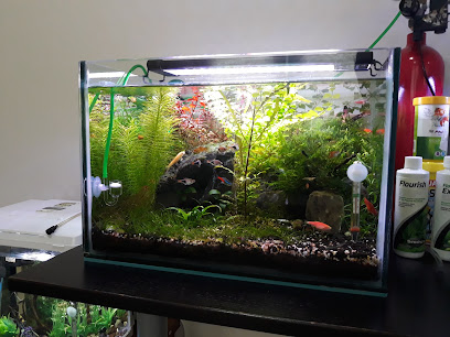 شيركوهيلم العذراء - أبو ظبي - +971 2 554 0873