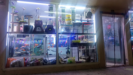 عصافير الخليج - أبو ظبي -