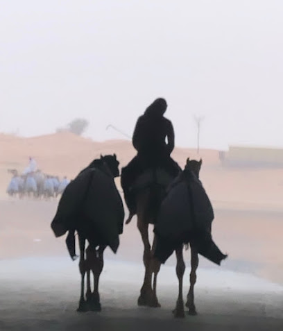 عزبة سلطان المحيان - أبو ظبي -