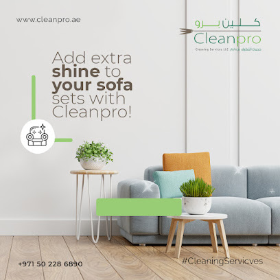 كلين برو لخدمات التنظيف ذ - أبو ظبي - +971 50 228 6890