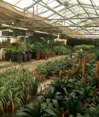 مزرعة مدينة الظنة - حديقة الحيوانات الصغيرة - أبو ظبي -