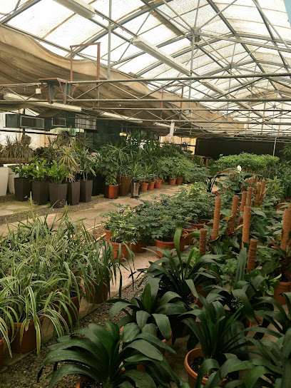 مزرعة مدينة الظنة - حديقة الحيوانات الصغيرة - United Arab Emirates|Al Dhannah City - Abu Dhabi|3MW4+M5Q