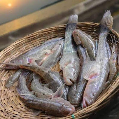 عيادة ملاقط البيطرية - أبو ظبي - +971 2 818 1111