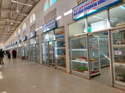 سوق الطيور - أبو ظبي - +971 52 890 0098