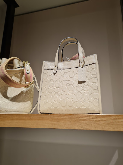 مدرب - United Arab Emirates|Dubai|Mall of the Emirates