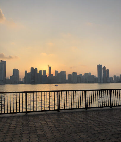 Zero Hide IT Services and Solutions في دبي بالإمارات العربية المتحدة - أبو ظبي - +971 55 199 0016