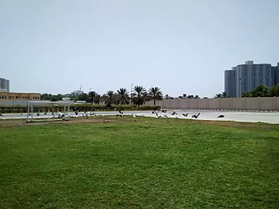 نادي عجمان للشطرنج والثقافة - أبو ظبي - +971 56 152 9990