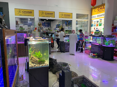 شامب انترناشيونال تريدنج م.م.ح - أبو ظبي - +971 56 470 9019