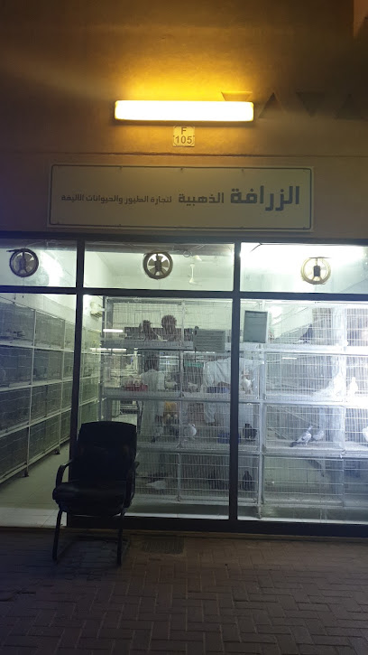 الزرافة الذهبية لتجارة والحيوانات الاليفة - United Arab Emirates|Al Noud - أبو ظبي|5R66+R48