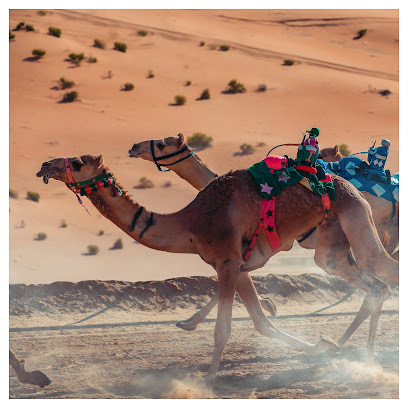 Pixelogik للإعلان والإعلان - أبو ظبي - +971 50 736 6245