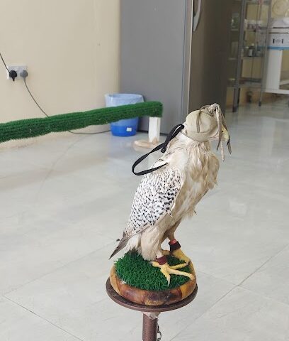 عيادة الثريا البطيرية عيادة الثريا البيطرية - أبو ظبي -