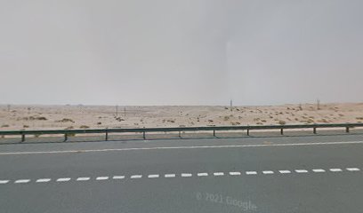 حلول الفندق المباشر (DHS) - أبو ظبي - +971 56 655 9306