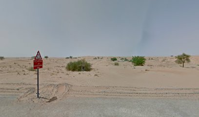 تصميم الركائز النجارة - أبو ظبي -