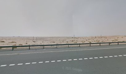 P&M INFOTECH LLC - أبو ظبي - +971 56 446 3260