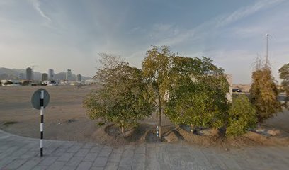 فيبركس - أبو ظبي -