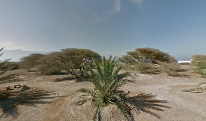مكتب موقع FNCT - أبو ظبي -