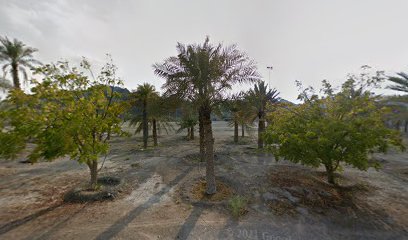 ملعب الفجيرة للكريكيت - أبو ظبي - +971 50 391 4730