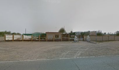 حديقة شجرة بونساي لتنسيق الحدائق - أبو ظبي - +971 6 882 3868